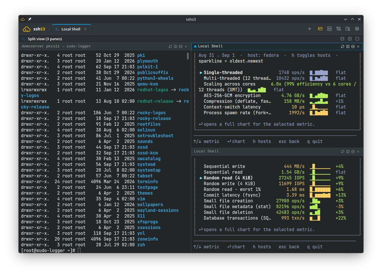 Split Terminal Workspace
