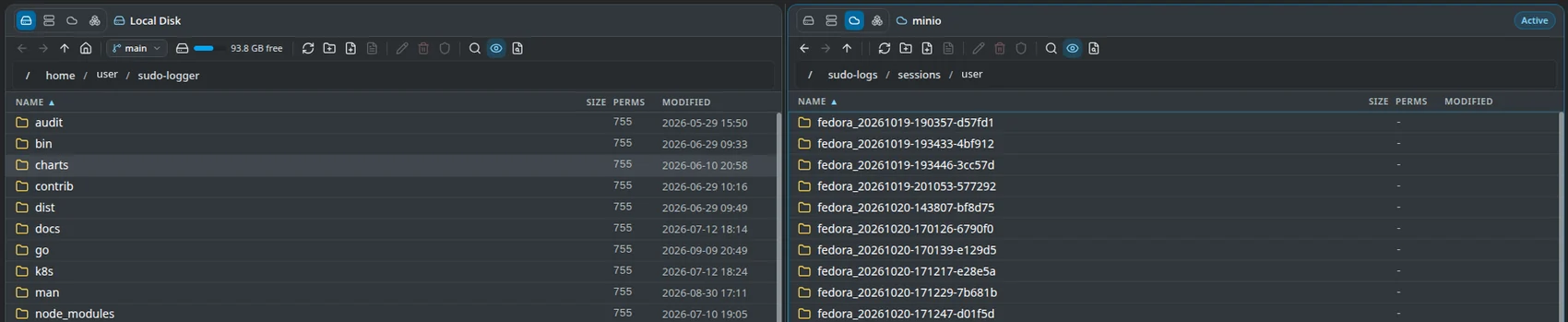 Two file panes side by side: local disk with a git branch badge and free space on the left, a MinIO bucket on the right