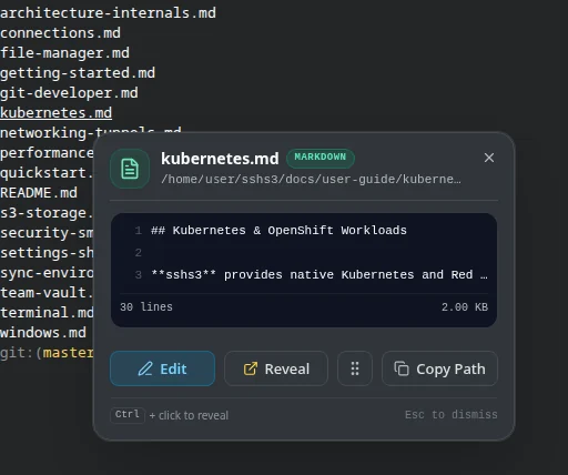 A file listing in the terminal with a path card open for kubernetes.md: preview of the first lines, line count and size, and Edit, Reveal and Copy Path buttons