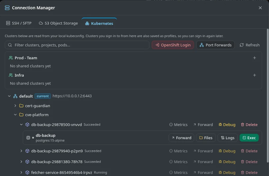 Kubernetes tab with a cluster expanded to namespaces and pods, each with Metrics, Forward, Debug and Delete, and a container with Forward, Files, Logs and Exec