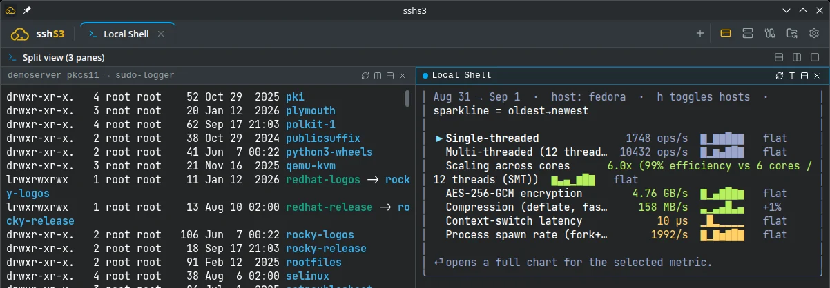 The tab bar and a three-pane split view: a remote SSH session beside two local shells
